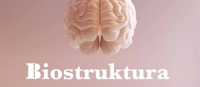 Biostruktura mózgu a zarządzanie w biznesie