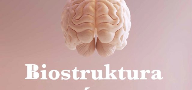 Biostructure of brain-management in business