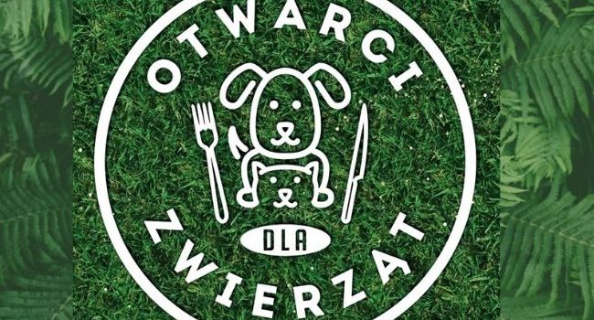 WIZYTA W RESTAURACJI Z CZWORONOŻNYM PRZYJACIELEM – TERAZ TO MOŻLIWE!