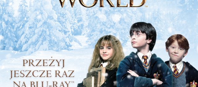 Magia Świąt Wizarding World  Pakiety filmowe: „Harry Potter / Fantastyczne zwierzęta Kolekcja” „Fantastyczne zwierzęta cz.1 i 2”