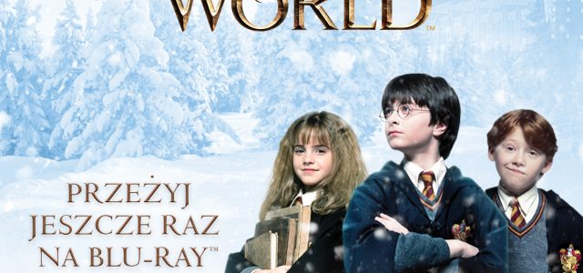 Magia Świąt Wizarding World  Pakiety filmowe: „Harry Potter / Fantastyczne zwierzęta Kolekcja” „Fantastyczne zwierzęta cz.1 i 2”