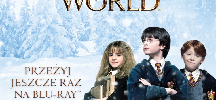 Magia Świąt Wizarding World  Pakiety filmowe: „Harry Potter / Fantastyczne zwierzęta Kolekcja” „Fantastyczne zwierzęta cz.1 i 2”
