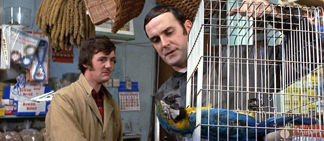 Zremasterowany Monty Python za darmo online na ARTE.TV!