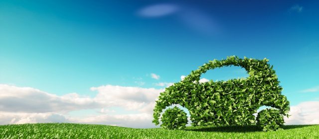 Polska branża ICT łączy siły na rzecz klimatu i środowiska