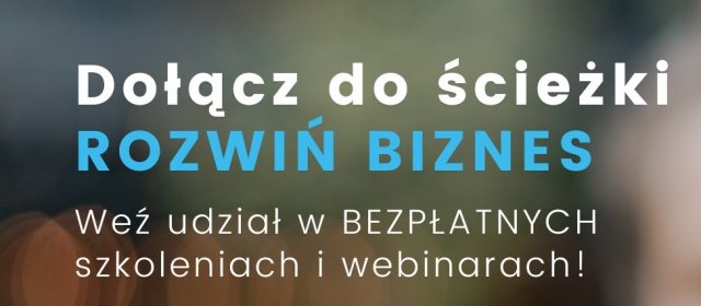 Program Rozwoju Przedsiębiorczości Biznes młodych przedsiębiorców oparty na solidnych fundamentach