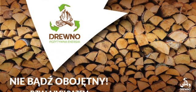 Szwedzi świecą przykładem w edukacji prawidłowego spalania drewna