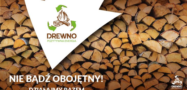 Szwedzi świecą przykładem w edukacji  prawidłowego spalania drewna
