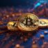 More Than Bitcoin – Kanga rusza z kampanią, która zmienia postrzeganie kryptowalut