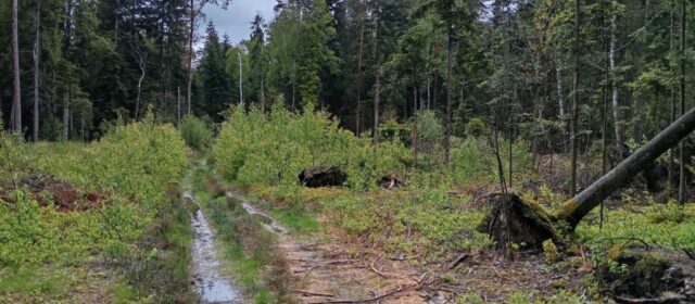 Ojcowizna pod toporem. Jak system zawiódł rolników z Sokoli.