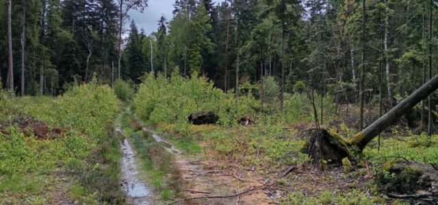 Ojcowizna pod toporem. Jak system zawiódł rolników z Sokoli.