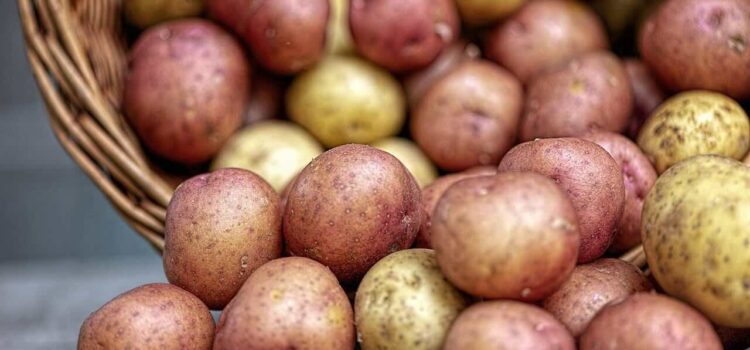 Kolorowe ziemniaki czyli „superfoods” po polsku