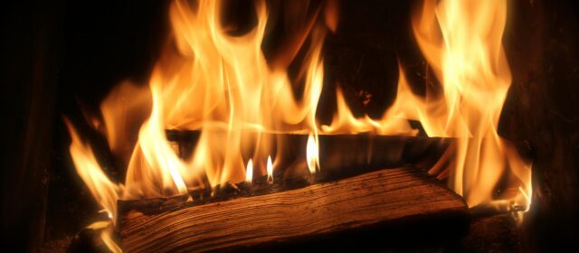 Pierwszy Międzynarodowy Dzień Kominka – niezależność energetyczna i domowe ciepło w czasach niepewności