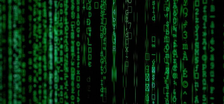 Ogólnonarodowy strach przed cyberatakami? Zamiast paniki potrzebna jest świadomość i podstawowe zabezpieczenia
