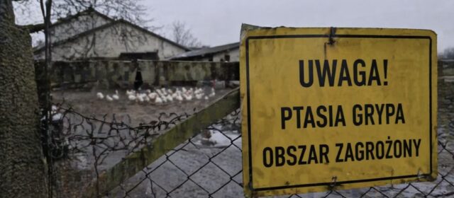 Sektor utylizacyjny „pogotowiem sanitarnym” kraju