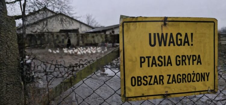 Sektor utylizacyjny „pogotowiem sanitarnym” kraju